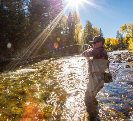 Fly fishing in Gold Medal Waters Colorado