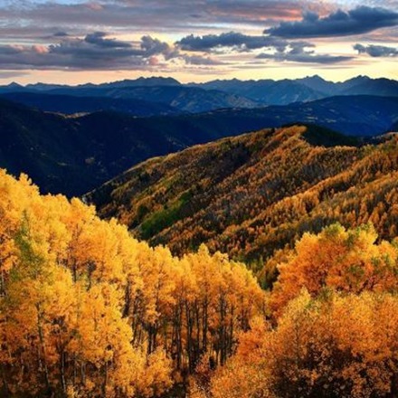 drsnowmass_location_fall_trees