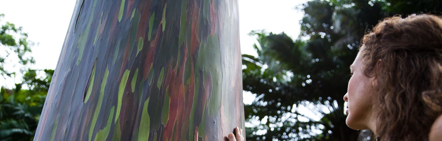 Woman Touching Painted Tree