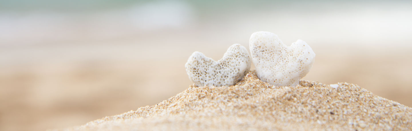 Coral hearts with ocean background