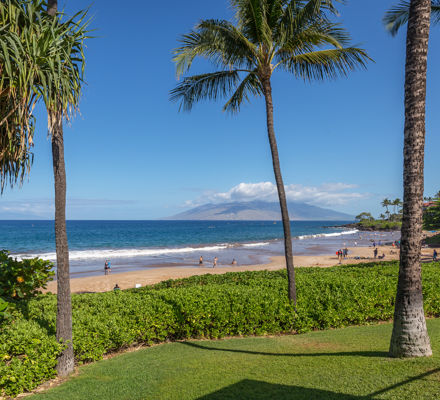 DR_Hawaii_Polo Beach_Grounds_Beach