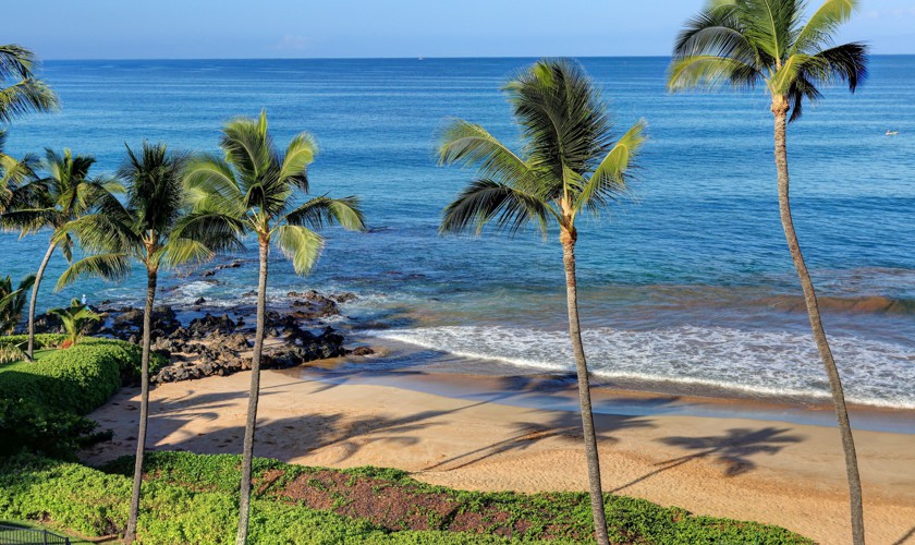 DR_Hawaii_Polo Beach_Grounds_Beach view