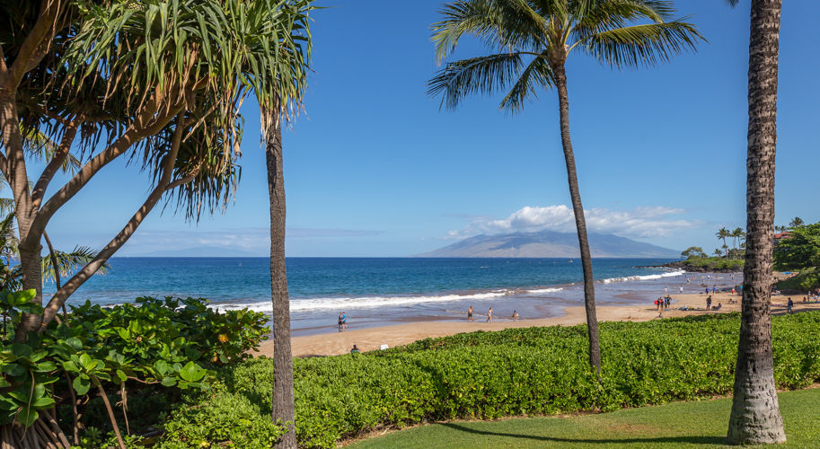 DR_Hawaii_Polo Beach_Grounds_Beach