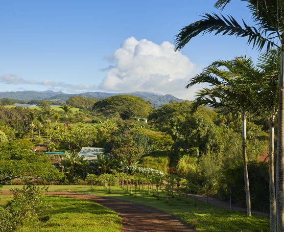 Kauai farm