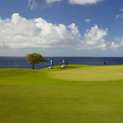 Oceanview golf course