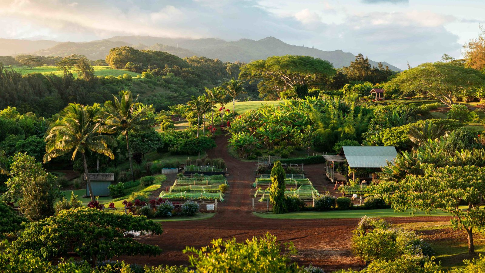 farm tour kauai