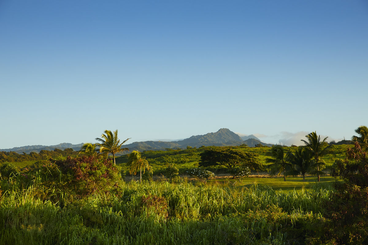 Kauai mountain view