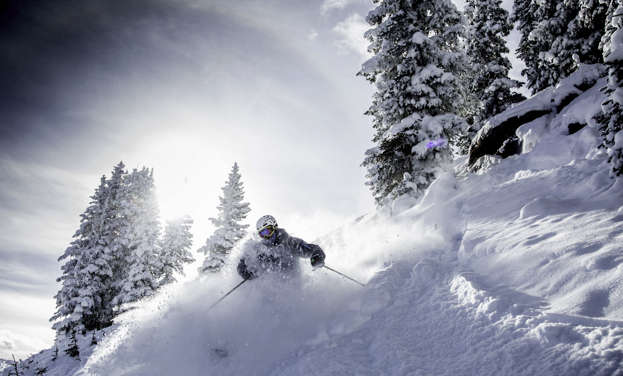 <b>Skier in back bowls powder in Vail, CO.</b>