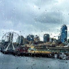 Rainy  Seattle (2)