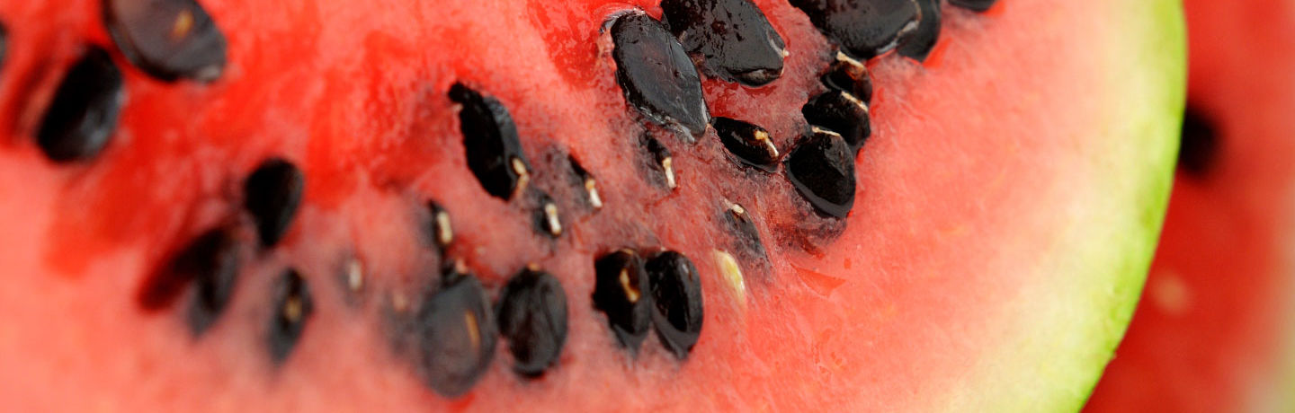 Watermelon Seed Spitting Contest - Resort at Squaw Creek