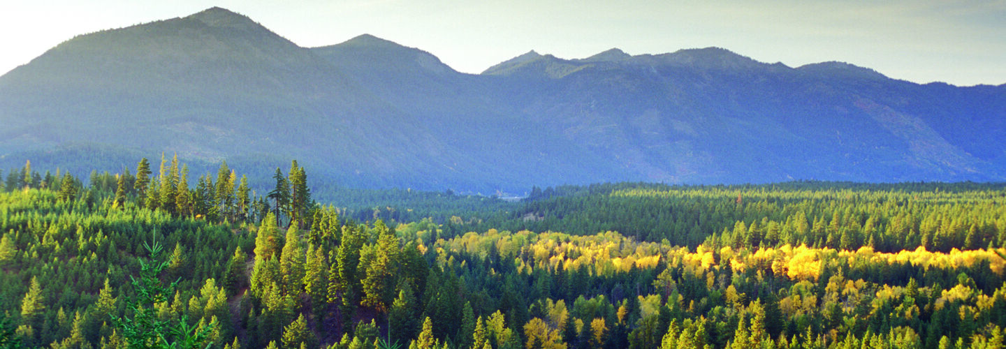 Fall in the Cascade Mountains at Suncadia Resort