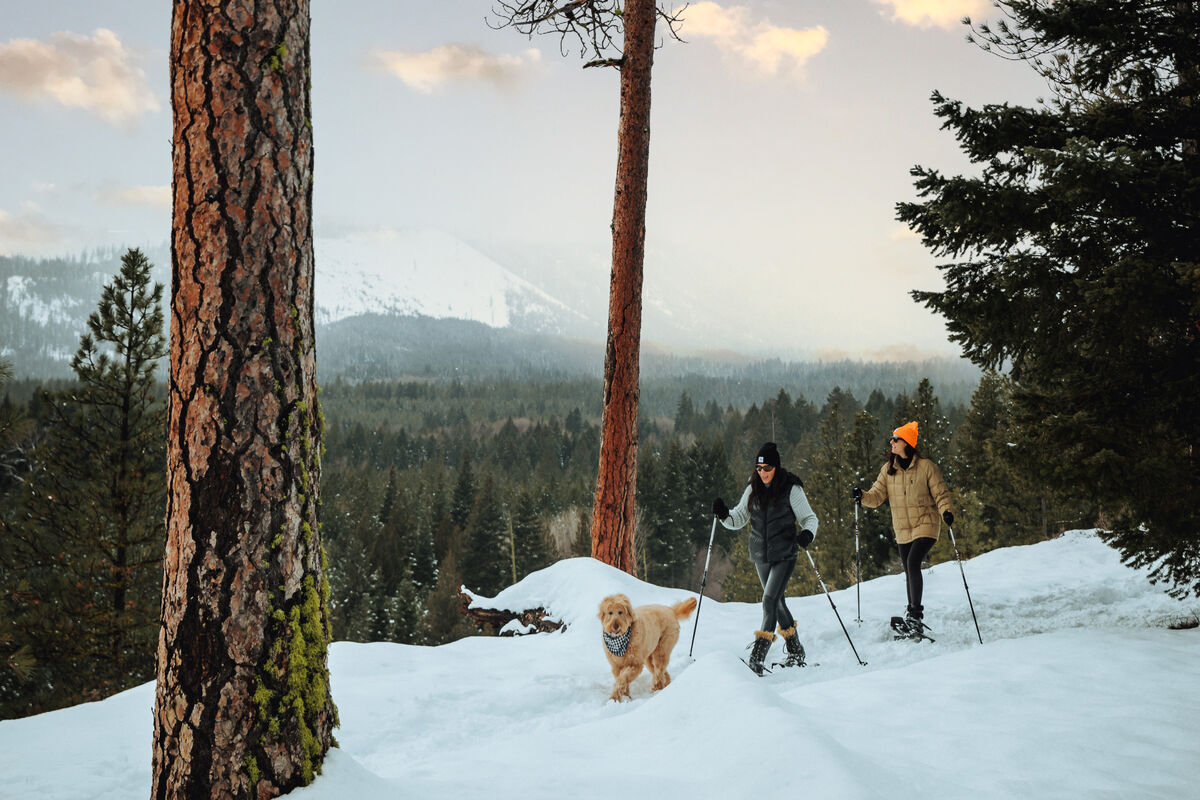 two people cross country skiing in the Cascade Mountains