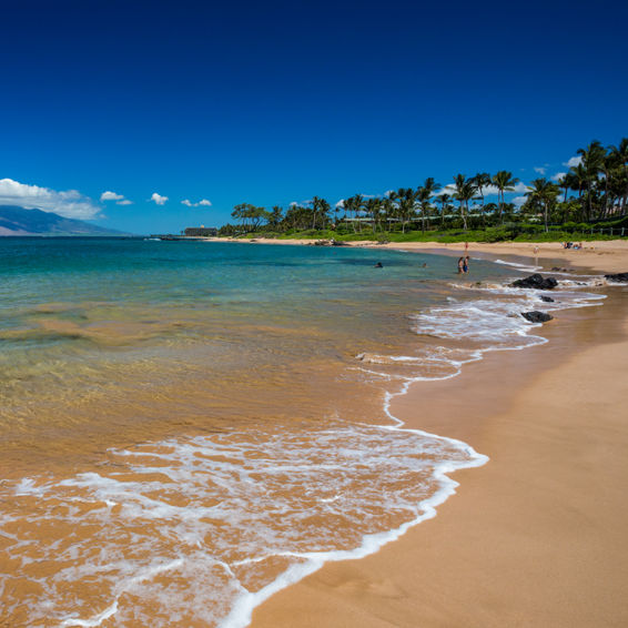 Wailea Beach Villas - Local Area