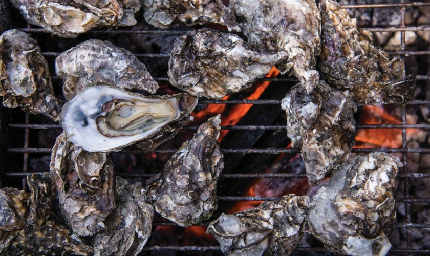 Lowcountry Cooking Oysters