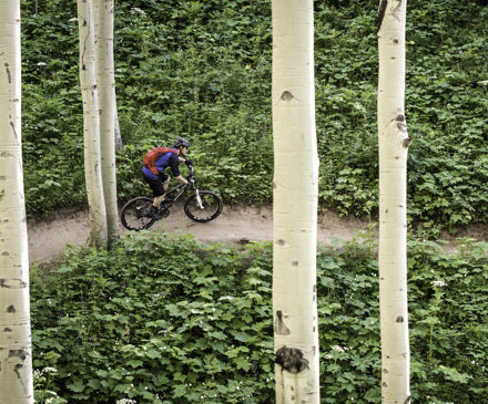 <b>Downhill mountain biking through the trees in Vail, CO.</b>