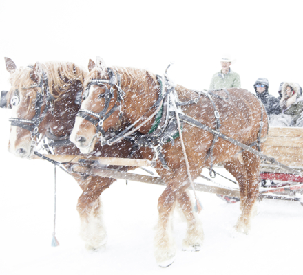 Horse drawn sleigh rides at Ashcroft, Snowmass Village, Colorado